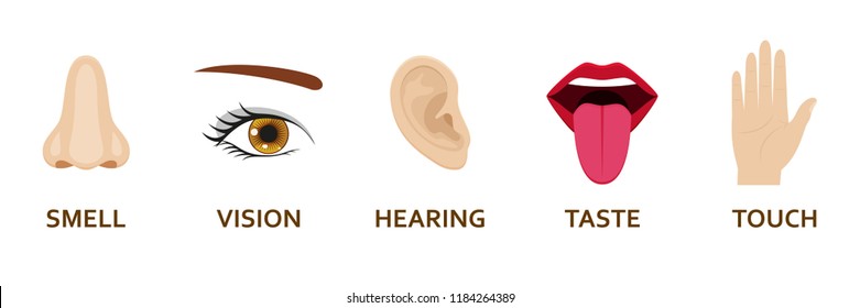 Five Human Senses Icons Set. Cartoon Design Nose, Eye, Hand, Ear And Mouth. Vector Illustration.