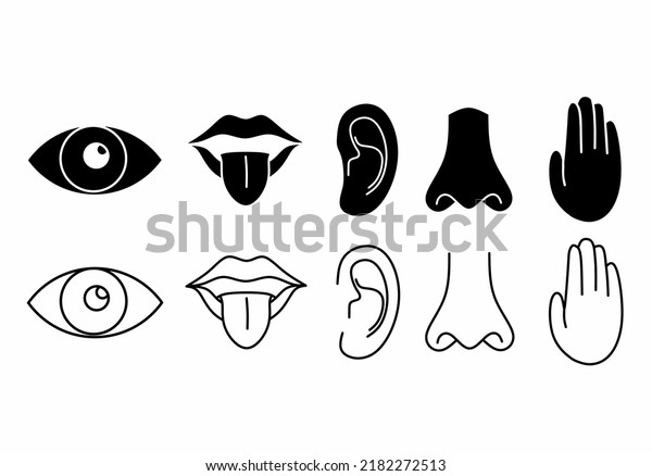 Five Human Senses Icons Set Isolated Stock Vector (Royalty Free ...