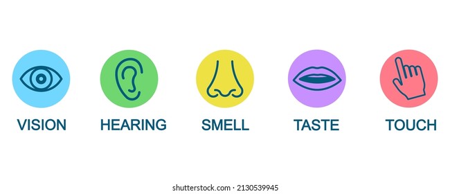 Five human senses icons vector set.  Icon collection with five human senses: vision, hearing, smell, taste and touch. Vector 10 EPS.