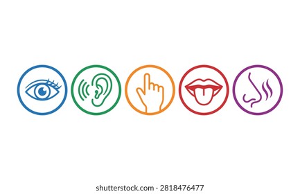 Five, human, senses, icons, vector, illustration, sight, hearing, touch, taste, smell, perception, organs, colorful, circles, psychology, biology, education, medical, concept.