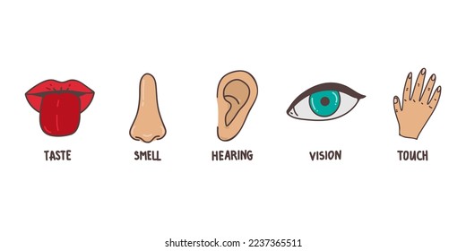 Five human senses line icons set. Vision, smell, hearing, touch, taste icons. Human sensory organs. Eye, nose, ear, hand, mouth icon set.