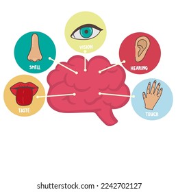 Five human senses line icons set. Vision, smell, hearing, touch, taste icons. Human sensory organs. Eye, nose, ear hand mouth icon set