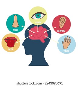 Five human senses line icons set. Vision, smell, hearing, touch, taste icons. Human sensory organs. Eye, nose, ear, hand, mouth icon set.