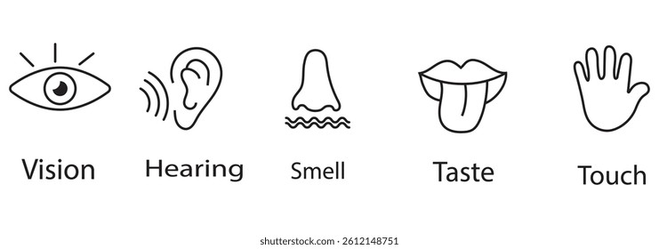 Five Human Senses line icons set. Five types symbols. Vector illustration. Eps 10