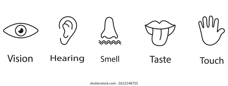 Five Human Senses line icons set. Five types symbols. Vector illustration. Eps 10