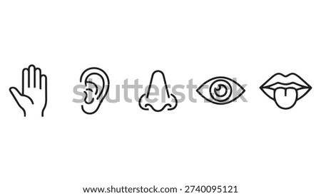  Five Human Senses Line Icons, Touch,
 Hearing Smell Sight and Taste senses human senses hearing. hand ear nose eye lips sensory icons.