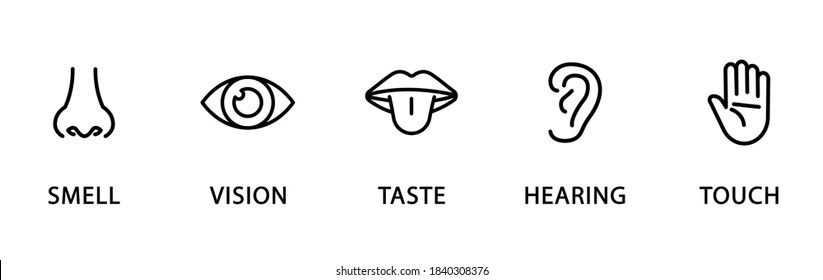 Five Human Senses Linear Icons Vision Stock Vector (Royalty Free ...