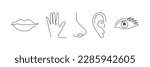Five human senses one line drawing set. Touch, smell, taste, look, hear icon. 5 five types symbols. Vector illustration