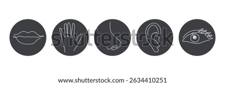 Five human senses one line drawing in black circle. Touch, smell, taste, look, hear icon. Set of 5 types feelings. Vector illustration
