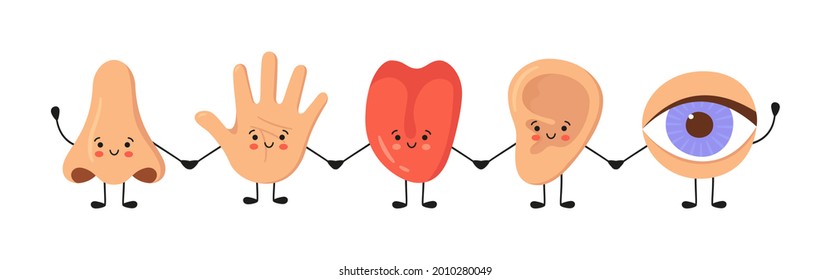 Five human senses organs kawaii characters set. Nose, ear, hand, tongue and eye hold hands. Cute sensory organs. See, hear, feel, smell and taste. Vector illustrations isolated on white background.