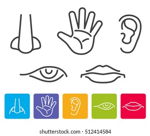 6,510 Hand eye hands nose mouth ear Images, Stock Photos & Vectors ...