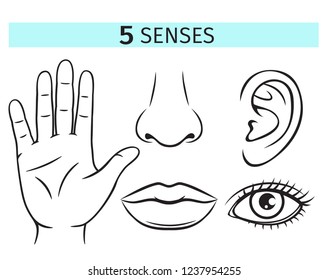 Five Human Senses, Vector Icons. Outline Illustration Of Lip, Ear, Nose, Eye And Hand