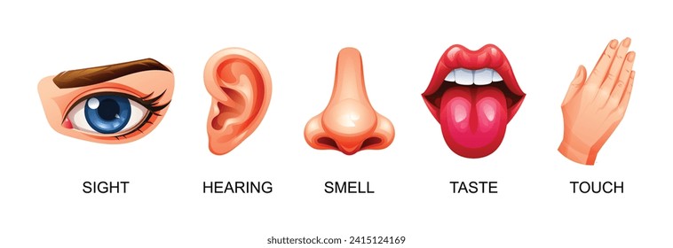 Five human senses vector illustration. Sight, hearing, smell, taste and touch