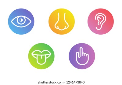 Five Human Senses Vision Eye Smell Stock Vector (Royalty Free ...