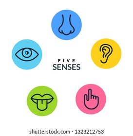 Five Human Senses Vision Eye Smell Stock Vector (Royalty Free ...