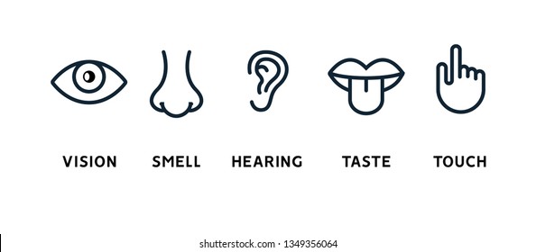 Five human senses vision eye, smell nose, hearing ear, touch hand, taste mouth and tongue. Line vector icons set.