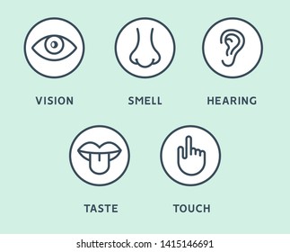 Five Human Senses Vision Eye Smell Stock Vector (Royalty Free ...