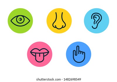 Five human senses vision eye, smell nose, hearing ear, touch hand, taste mouth and tongue. Line vector icons set.