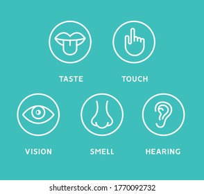 Five Human Senses Vision Eye Smell Stock Vector (Royalty Free ...