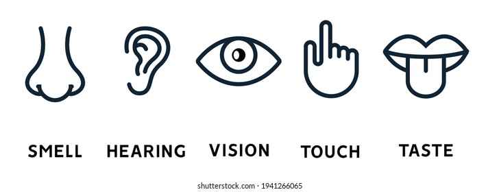 Five human senses vision eye, smell nose, hearing ear, touch hand, taste mouth and tongue. Line vector icons set