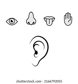 Five human senses. vision (eye), smell (nose), hearing (ear), touch (hand), taste (mouth with tongue). vector