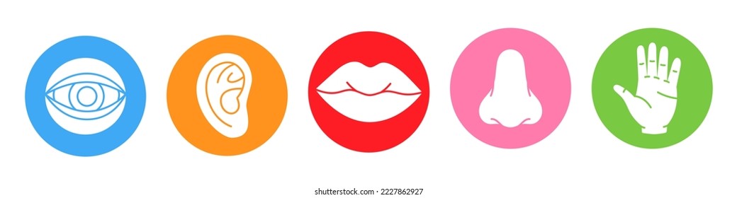Five human senses. Vision, smell, hearing, touch, taste icons. Vector illustration. Eye, nose, ear, hand, mouth icon set. Human sensory organs set