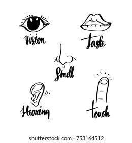 Five human senses: vision taste, smell, hearing, touch, taste, vector illustration.