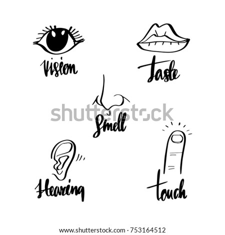 Five human senses: vision taste, smell, hearing, touch, taste, vector illustration.