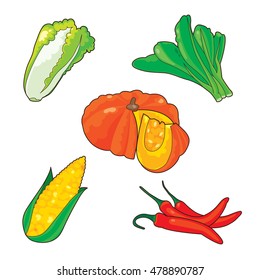 Five kinds of vegetables and fruits