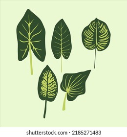 Five Leaves in green color vector element