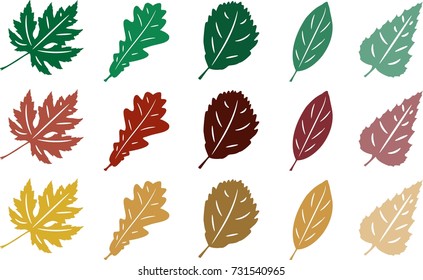 Five leaves have different color cast. Seasons leaves.