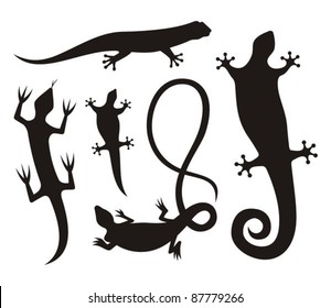 Five lizard silhouette icons isolated on white background.