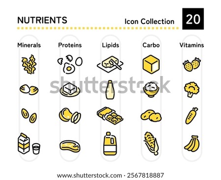 Five major nutrients illustration set