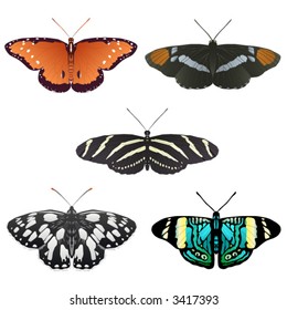 Five more vector butterflies