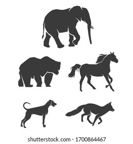 The Five most popular animals, elephant, bear, horse, Dog, fox
