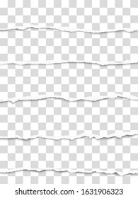 Five oblong torn transparent paper fragments placed one under another with soft shadow. Vector paper template.