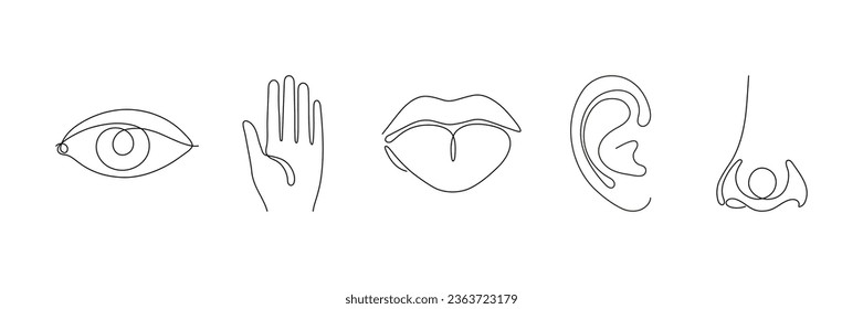 Fünf Orgel, Linie durchgehend. Sehen, berühren, schmecken, hören, riechen, setzen Symbol. Auge, Ohr, Zunge, Nase, Umrisssymbol der Hand. Vektorgrafik