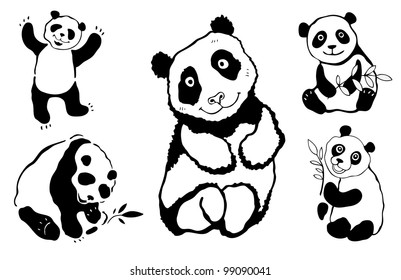 Five pandas. Vector illustration Isolated over white.