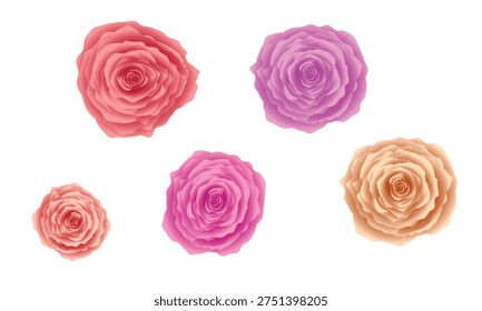 Five pastel colored roses arranged on a white background flower floral