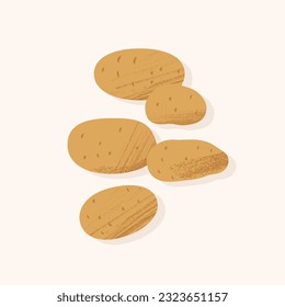 Five pieces of potatoes in peel of different sizes and shapes. Vector illustration in flat style with textures. Concept of growing organic regional farm vegetables.