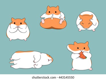 five poses of hamster