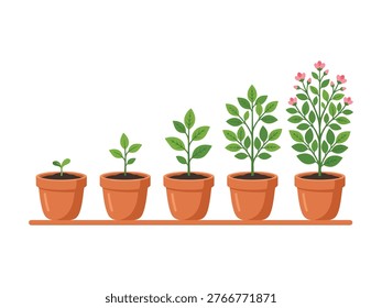 Five potted plants growing in different stages on a shelf plants in pots growth stages Vector illustration