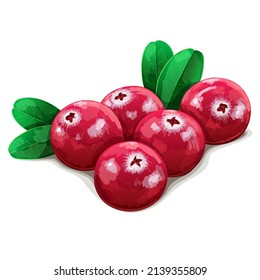 Five realistic cranberries with leaves isolated on white background. Vector Illustration.