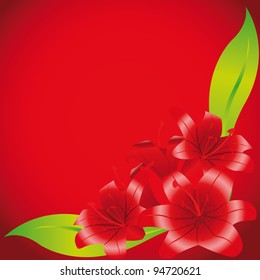 five red lilies on red background