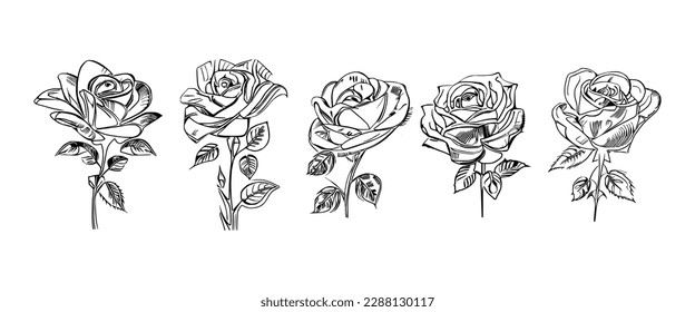 The Five Roses Coloring Book showcases five distinct roses, each with its unique design, portrayed through captivating illustrations.