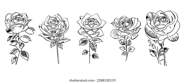 The Five Roses Coloring Book showcases five distinct roses, each with its unique design, portrayed through captivating illustrations.