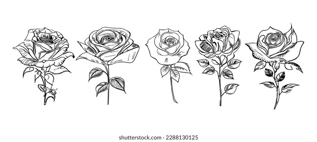 The Five Roses Coloring Book showcases five distinct roses, each with its unique design, portrayed through captivating illustrations.