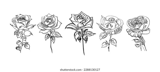 The Five Roses Coloring Book showcases five distinct roses, each with its unique design, portrayed through captivating illustrations.