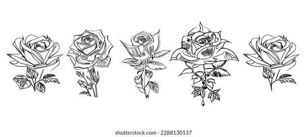 El Libro de Coloreo de las Cinco Rosas muestra cinco rosas diferentes, cada una con su diseño único, retratado a través de ilustraciones cautivadoras.
