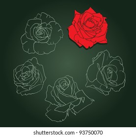 Five roses painted silhouette and in color, vector